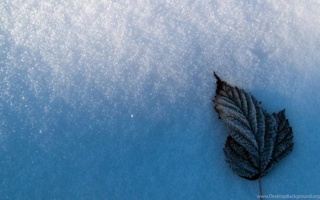 Snow Wallpapers Screensaver HD