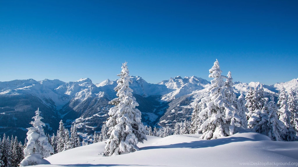 Snow Wallpapers