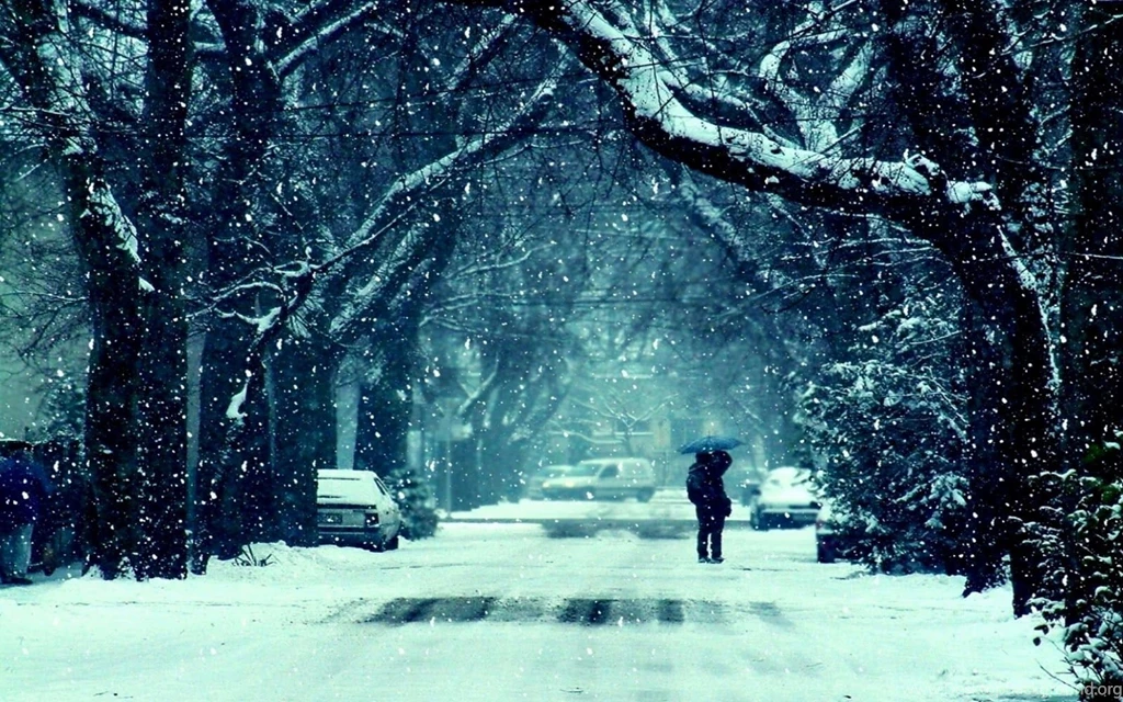 Snow Falling HD Wallpapers