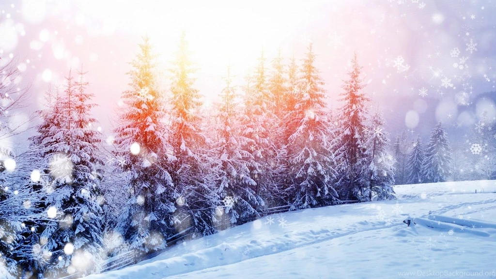 Snow Over Forest Wallpaper.jpg