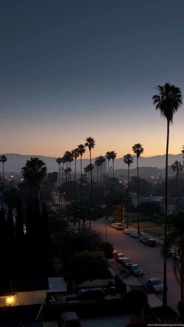 Los Angeles Evening