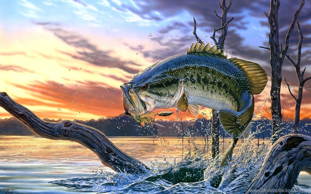 Desktop Fishing Backgrounds Wallpapers