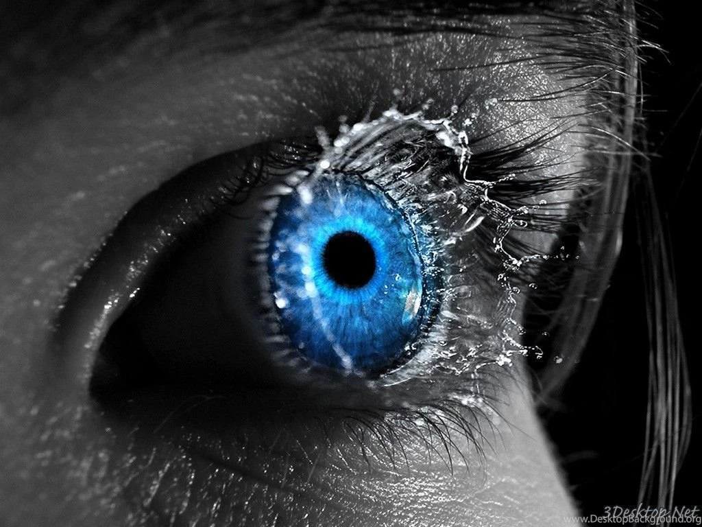 3d Wallpapers For Desktop_3d Wallpapers_download Free Wallpapers