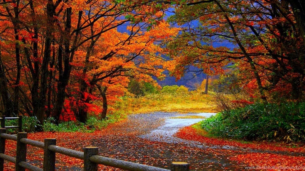 Backgrounds Fall