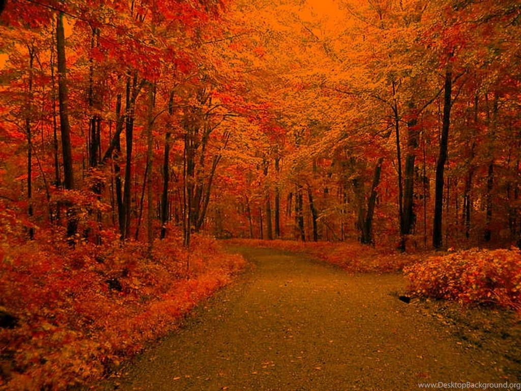Seasons Fall Backgrounds And Codes For Any Blog, Web Page, Phone ...