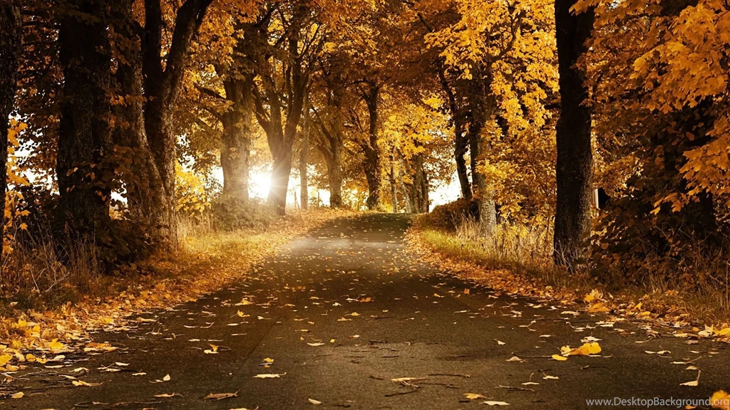 These Are Our Nature Backgrounds Including Some Beaches And Some ...