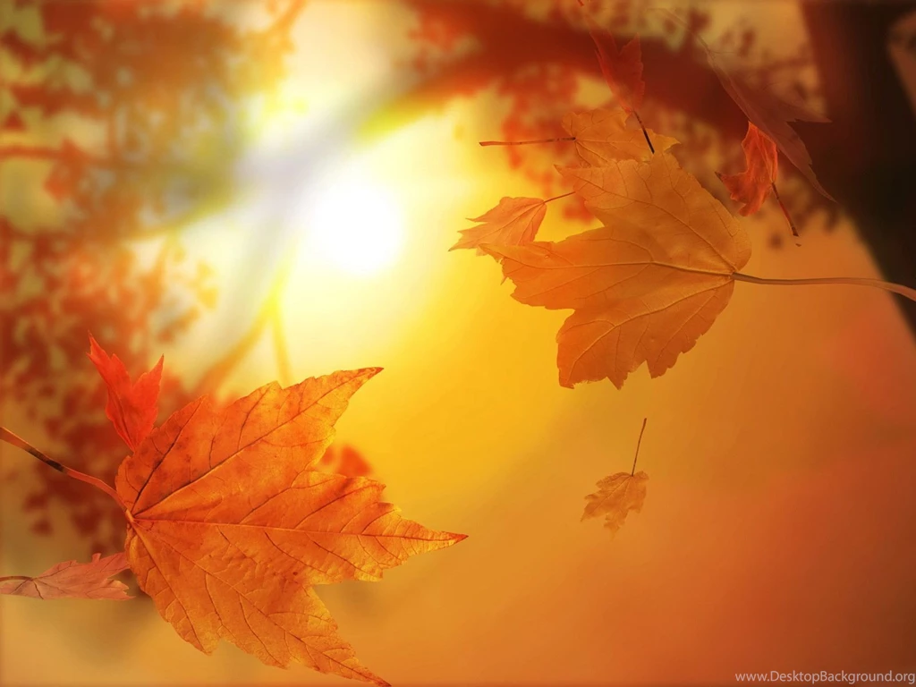 Desktop Wallpapers · Gallery · Windows 7 · Farewell Fall
