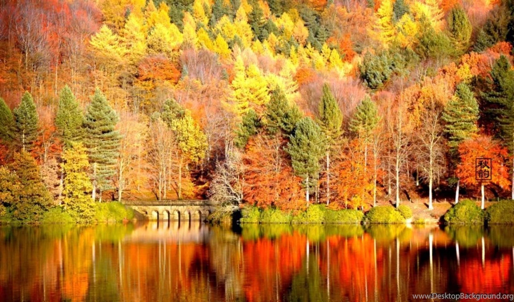 Autumn Fall Backgrounds Wide Wallpapers