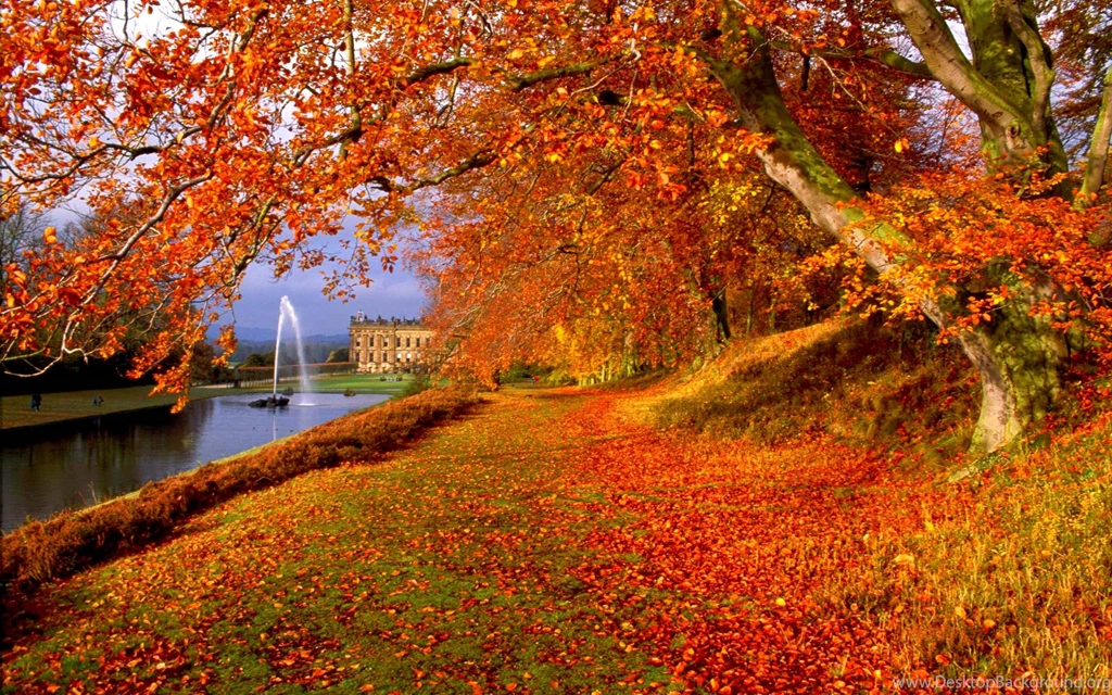Free Fall Backgrounds Pictures