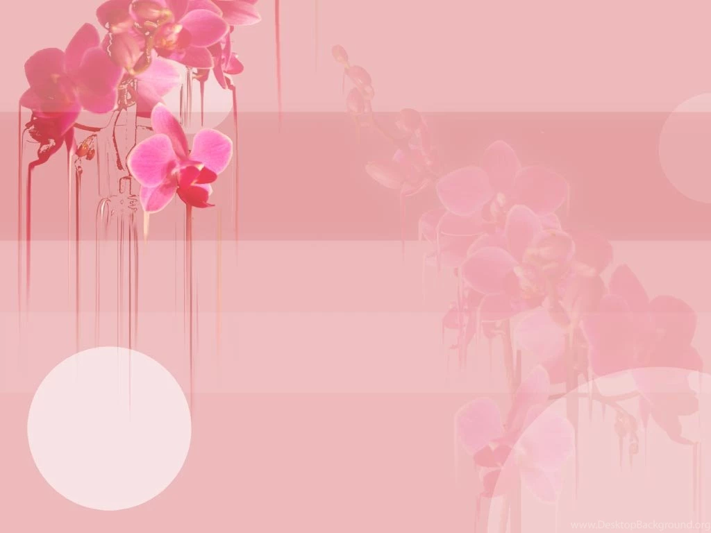 Orchid Wallpapers By Aeonmistress On DeviantArt