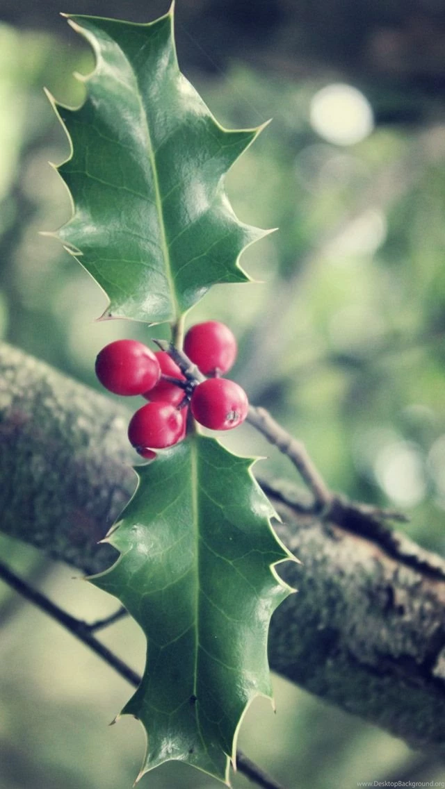 Christmas iPhone 5s Wallpapers