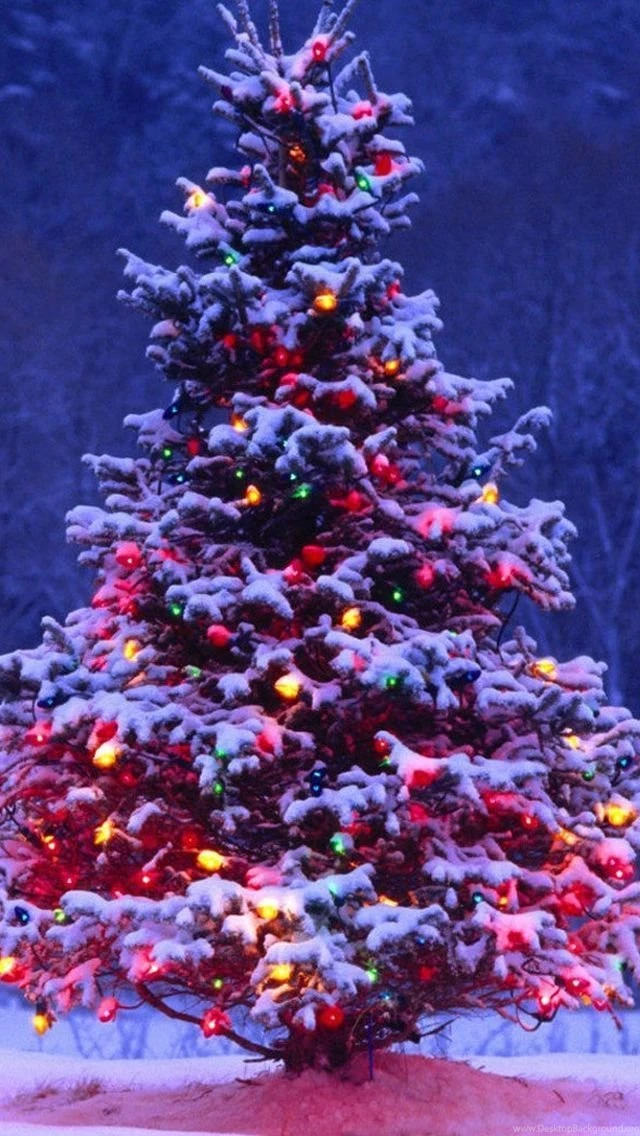 Christmas iPhone 5s Wallpapers