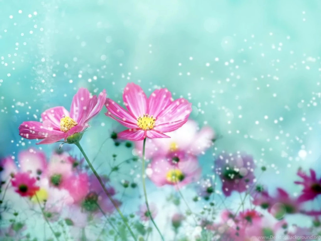 Wallpapers For Computer Desktop Backgrounds Desktop Backgrounds
