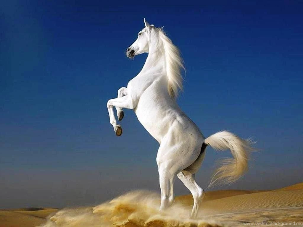 What To Consider When Changing The Desktop Background: Beautiful ...