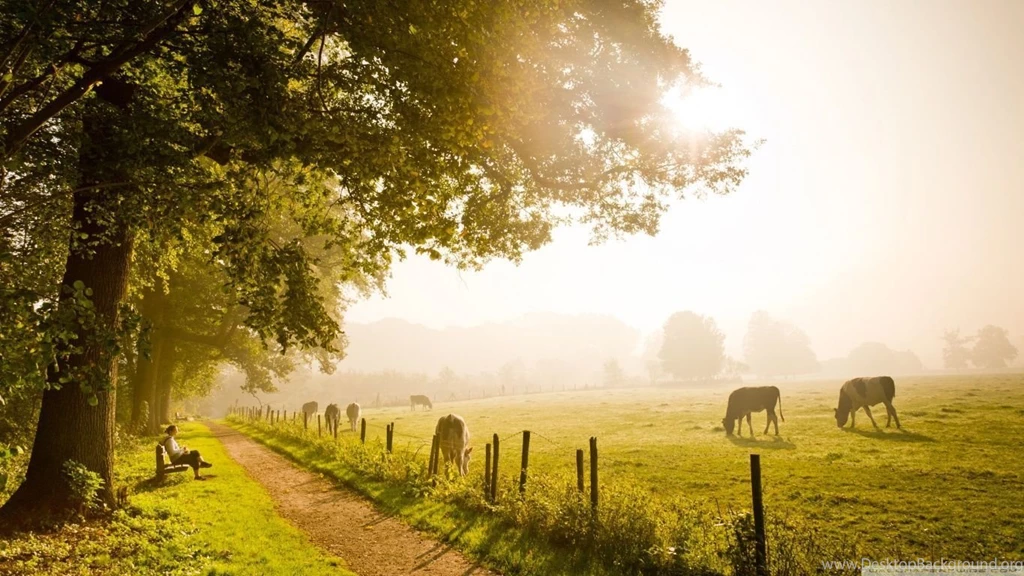 Bright Wallpapers For Desktop: Beautiful By Free Download Best HD ...