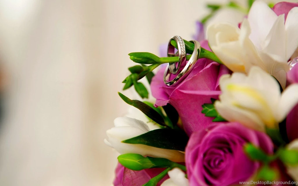 Holiday rings wedding wallpaper easter albums pictures abstract ...