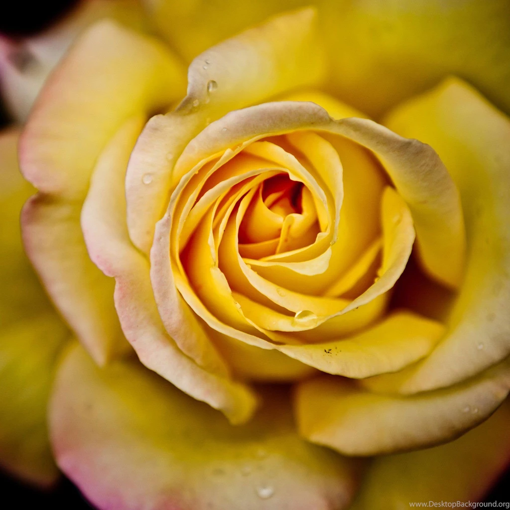 40 Free HD Retina Display iPad 3 Wallpapers