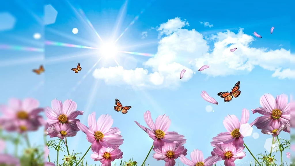 1920x1080 free summer desktop wallpaper.jpg