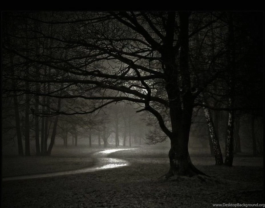 Background_images_nature_dark