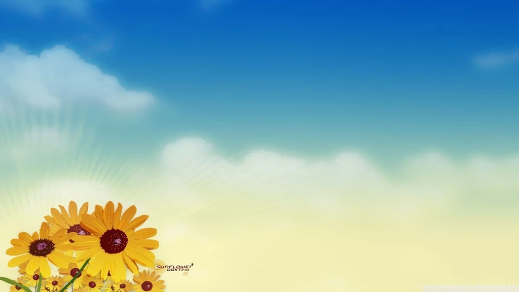 Sunflower Wallpaper_nature Wallpaper_download Free Wallpapers