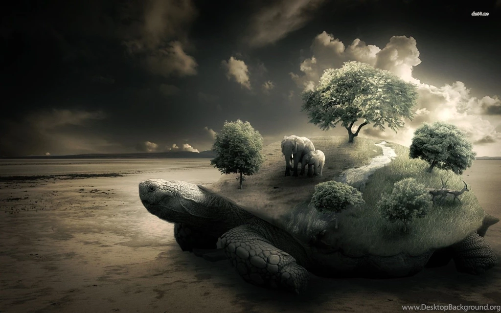 Turtle Carrying The Weight Of Nature Wallpapers Digital Art ...