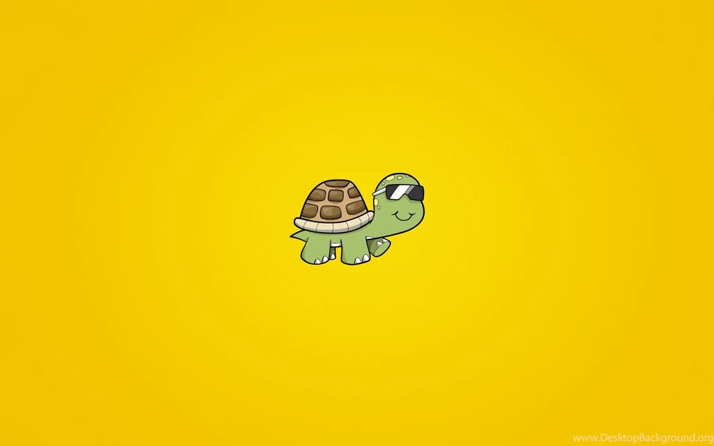 Turtle Sunglasses Art.jpg