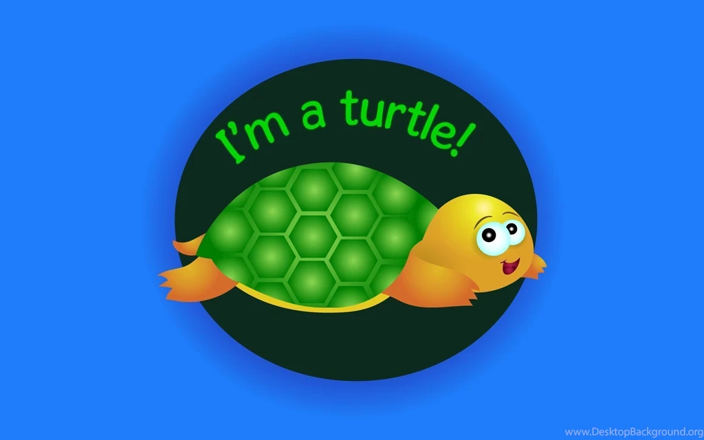Turtle Wallpapers By Jesscee On DeviantArt