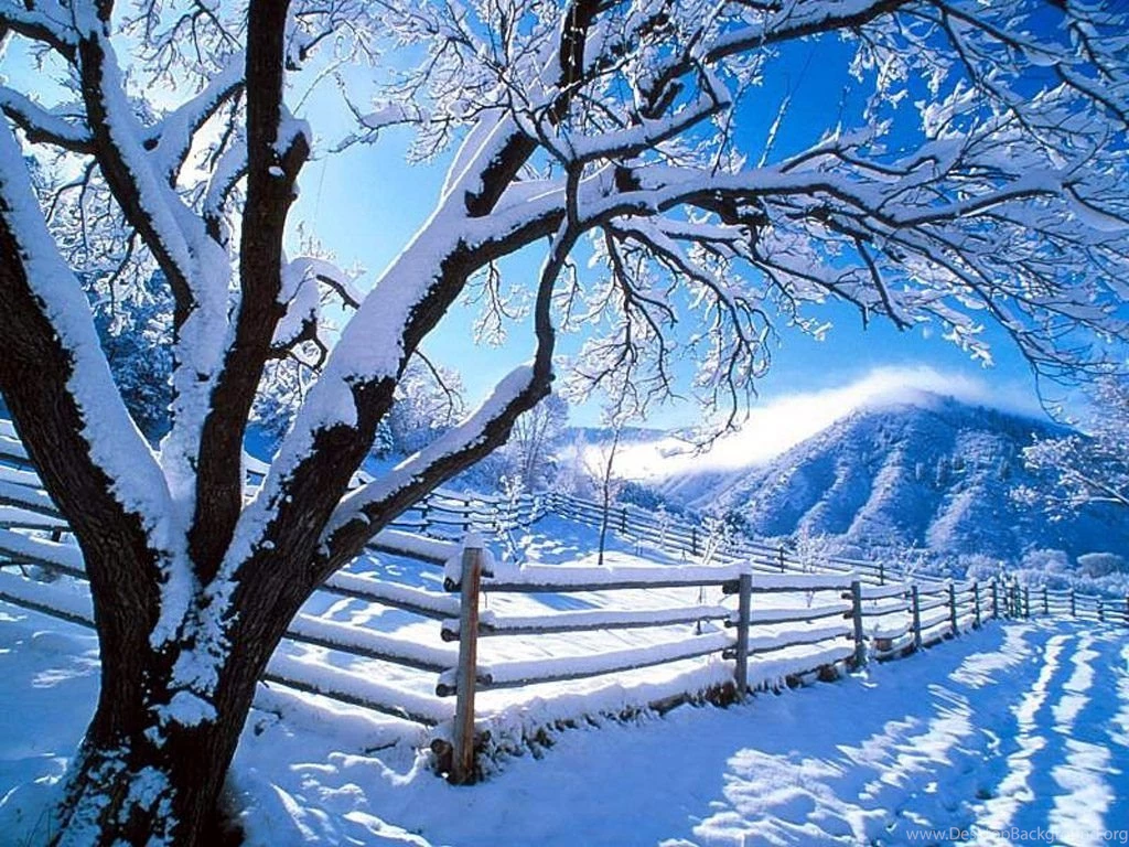Winter Nature Wallpapers Desktop Wallpaper.