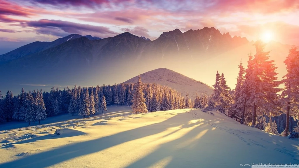Sunset Winter Shadows HD Desktop Wallpapers : High Definition ...