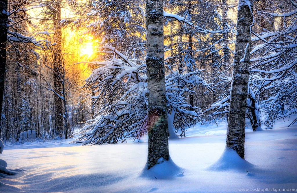 Free Winter Computer Wallpapers