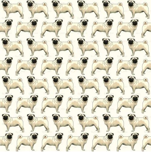 Pugs Pugs Pugs.