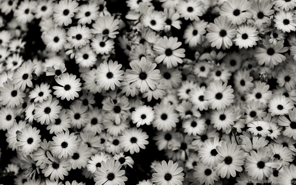 Tumblr Backgrounds Black And White