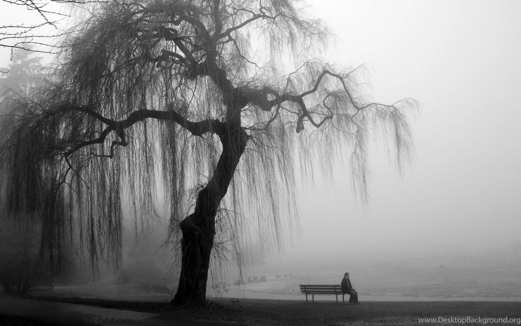 637 Black & White HD Wallpapers