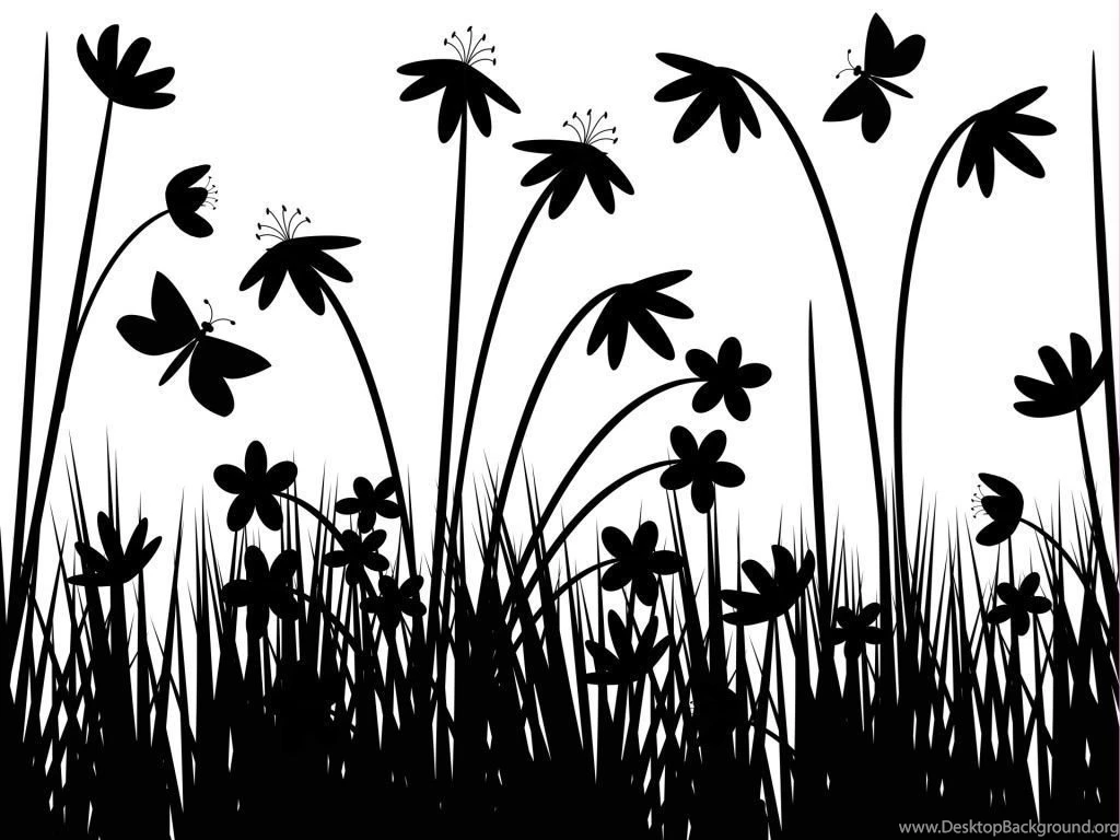 Black And White Wallpaper Backgrounds 34302 — Download Desktop ...