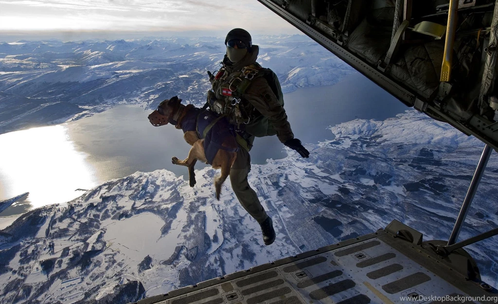 Dog Soldier Military Wallpapers