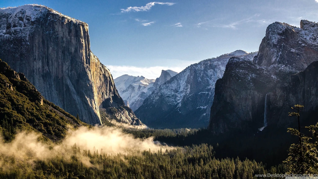 Amazing Mountain Pine Tree Forest 3840x2160 4K 16/9 (Ultra HD ...