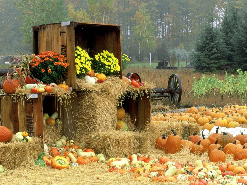 Fall Wallpapers For Desktop