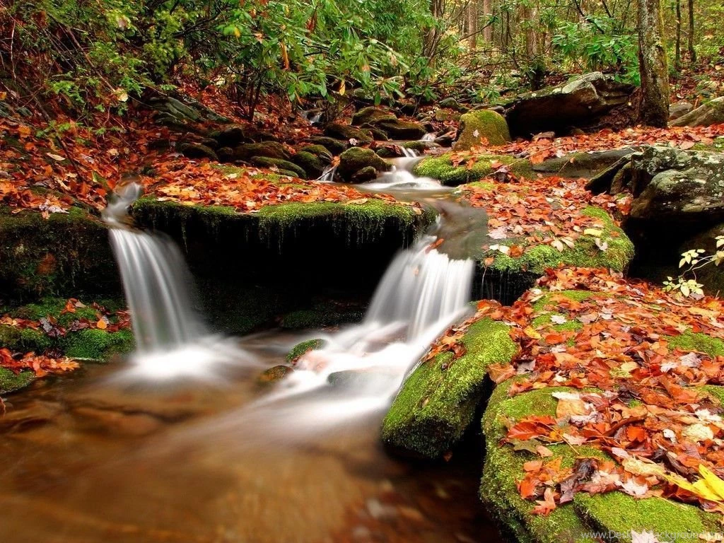 Autumn Desktop Backgrounds