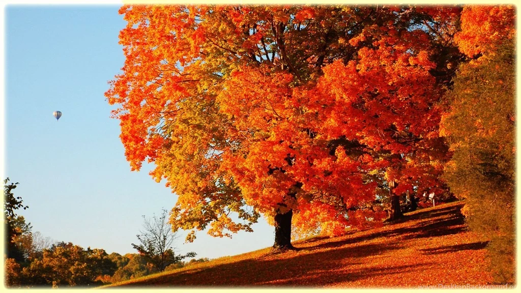 Best Fall Wallpapers Hd