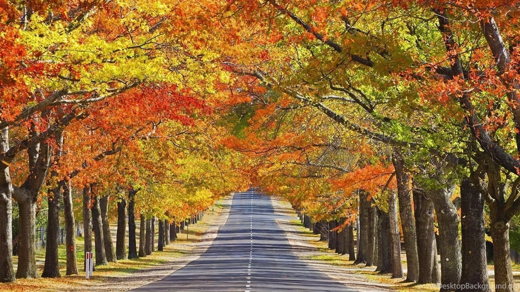 Free Desktop Wallpapers For Fall Desktop Backgrounds