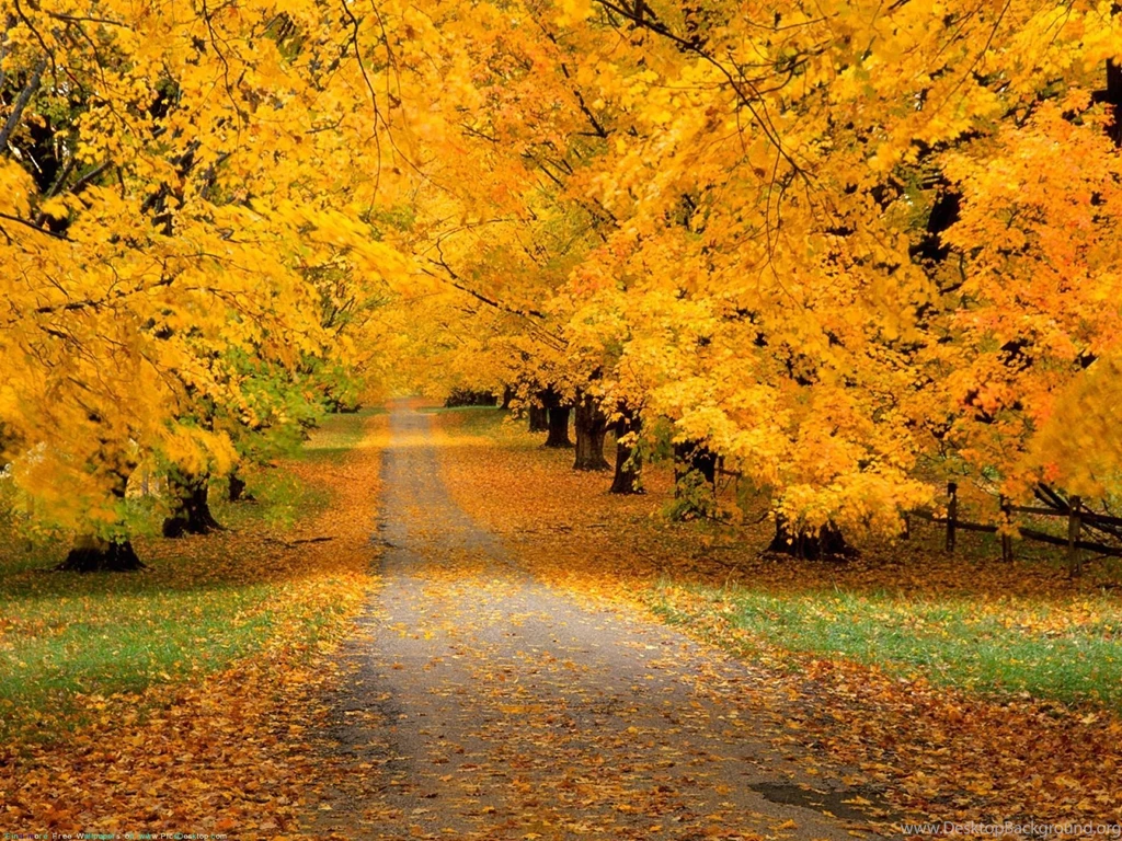 Nature Autumn Desktop Wallpapers Pics.