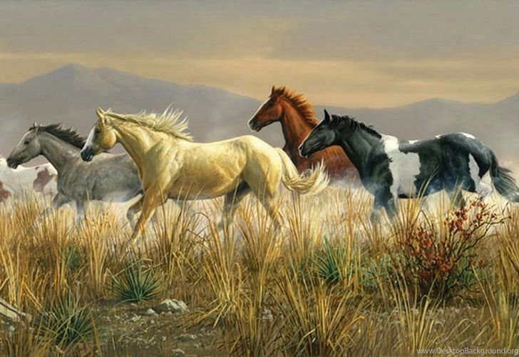 Horse Wallpaper_hd Wallpaper_download Free Wallpapers