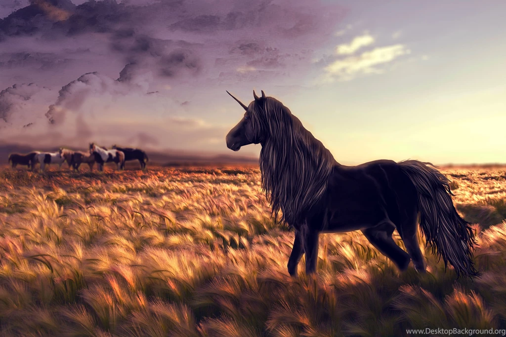 Horse Wallpapers