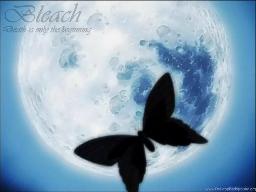 BLEACH WALLPAPERS Bleach Anime Wallpapers (34292870) Fanpop