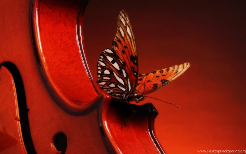 Violin Wallpapers >> Backgrounds With Quality HD