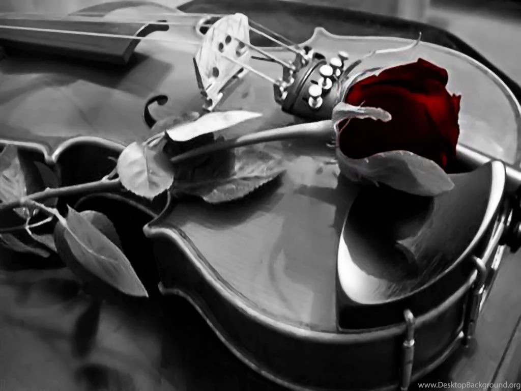 Violin Wallpapers