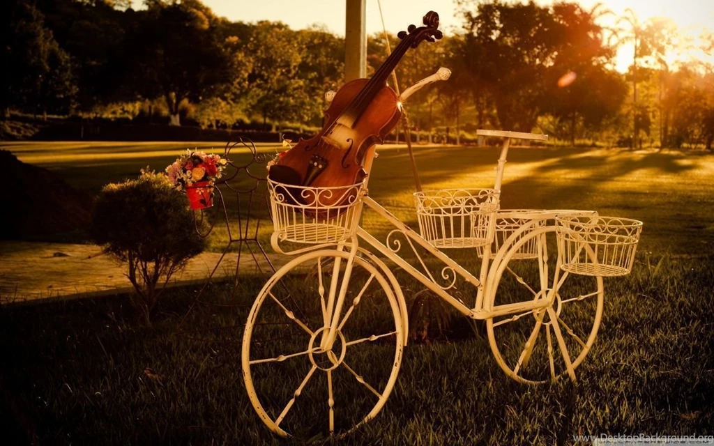 Violin HD Desktop Wallpapers : High Definition : Fullscreen