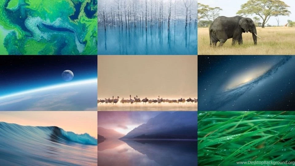 How To Find Apple's High Resolution OS X Wallpaper Images