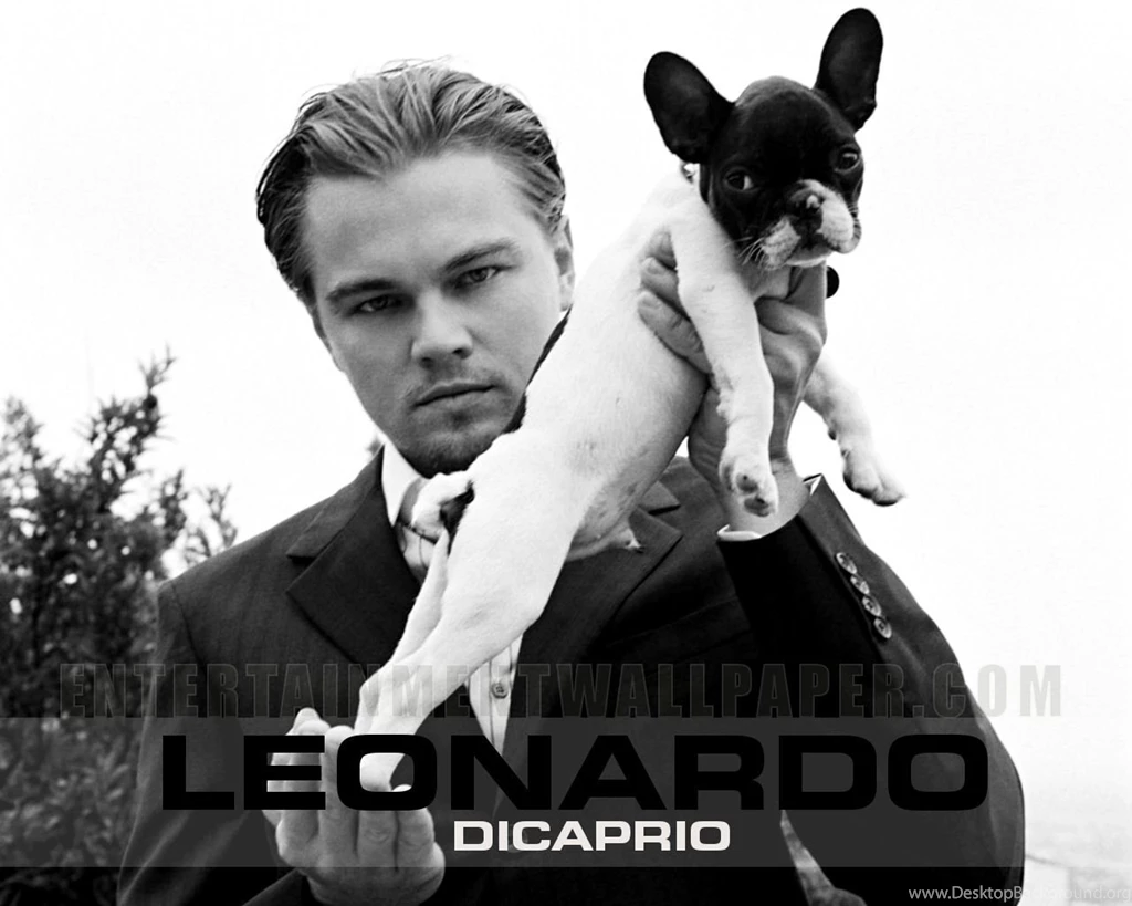 Leonardo DiCaprio Leonardo DiCaprio Wallpapers (16946716) Fanpop