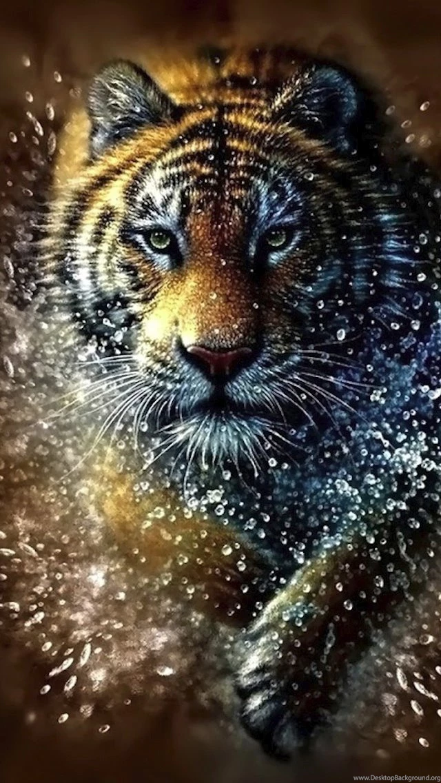 Tiger Splash iPhone 5 Wallpapers (640x1136)